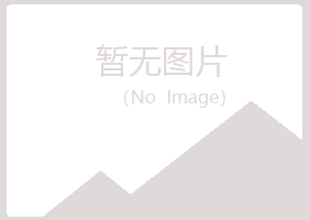 陆川县含玉司机有限公司